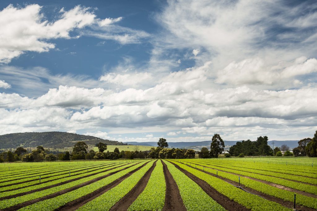 photo of Houstons Farm fields